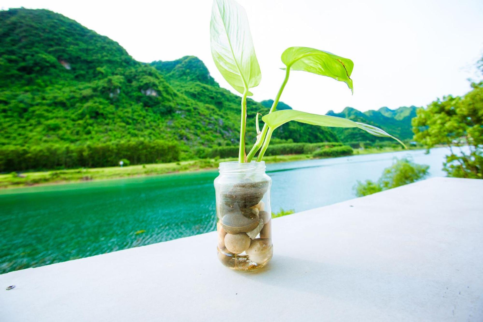 Phong Nha A Little Leaf Homestay 外观 照片