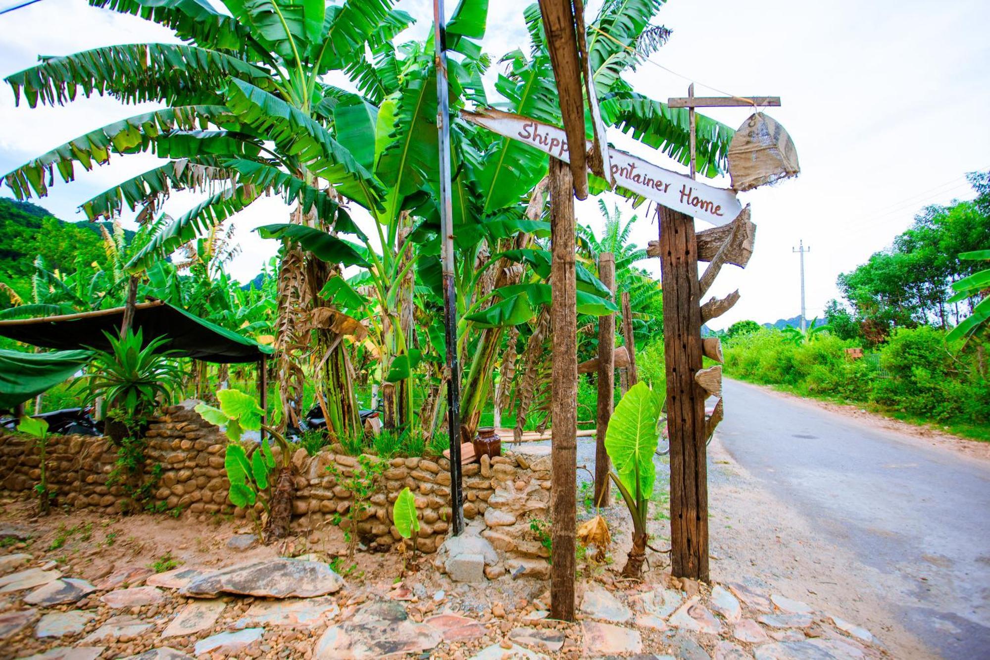 Phong Nha A Little Leaf Homestay 外观 照片