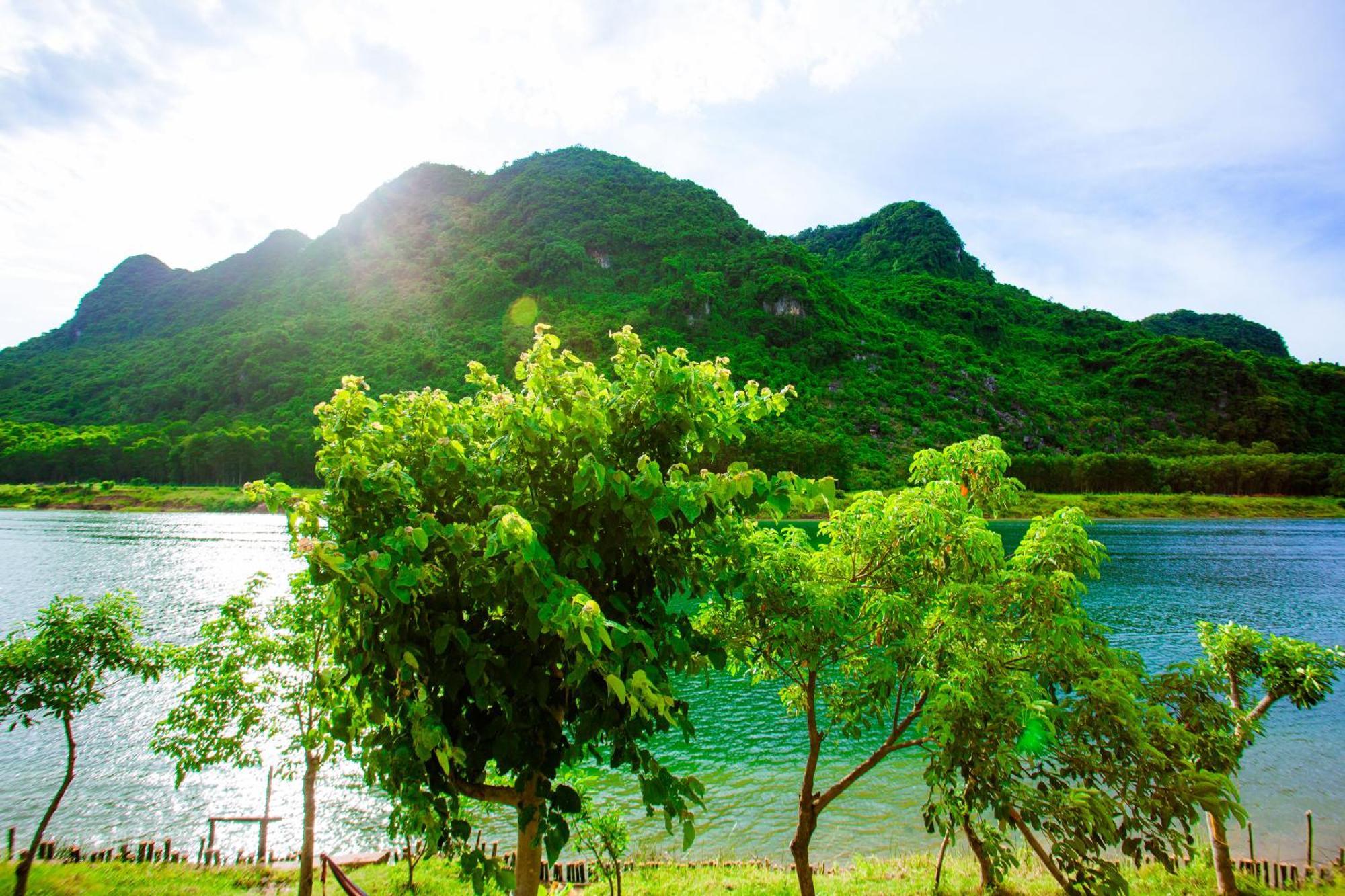 Phong Nha A Little Leaf Homestay 外观 照片