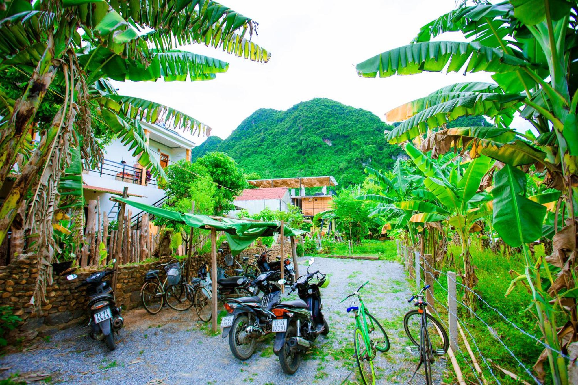 Phong Nha A Little Leaf Homestay 外观 照片