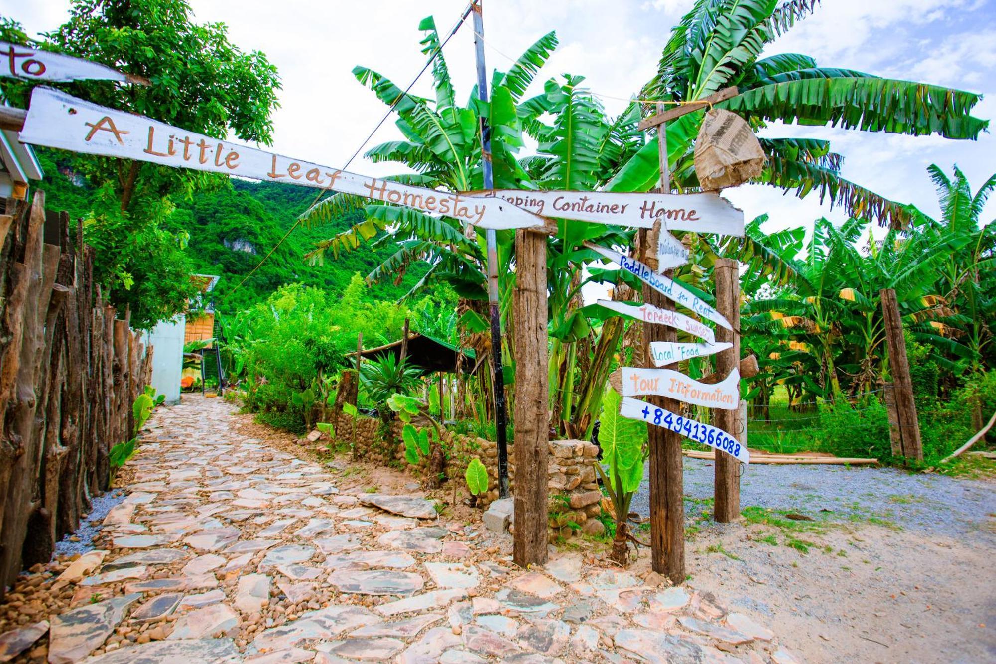 Phong Nha A Little Leaf Homestay 外观 照片